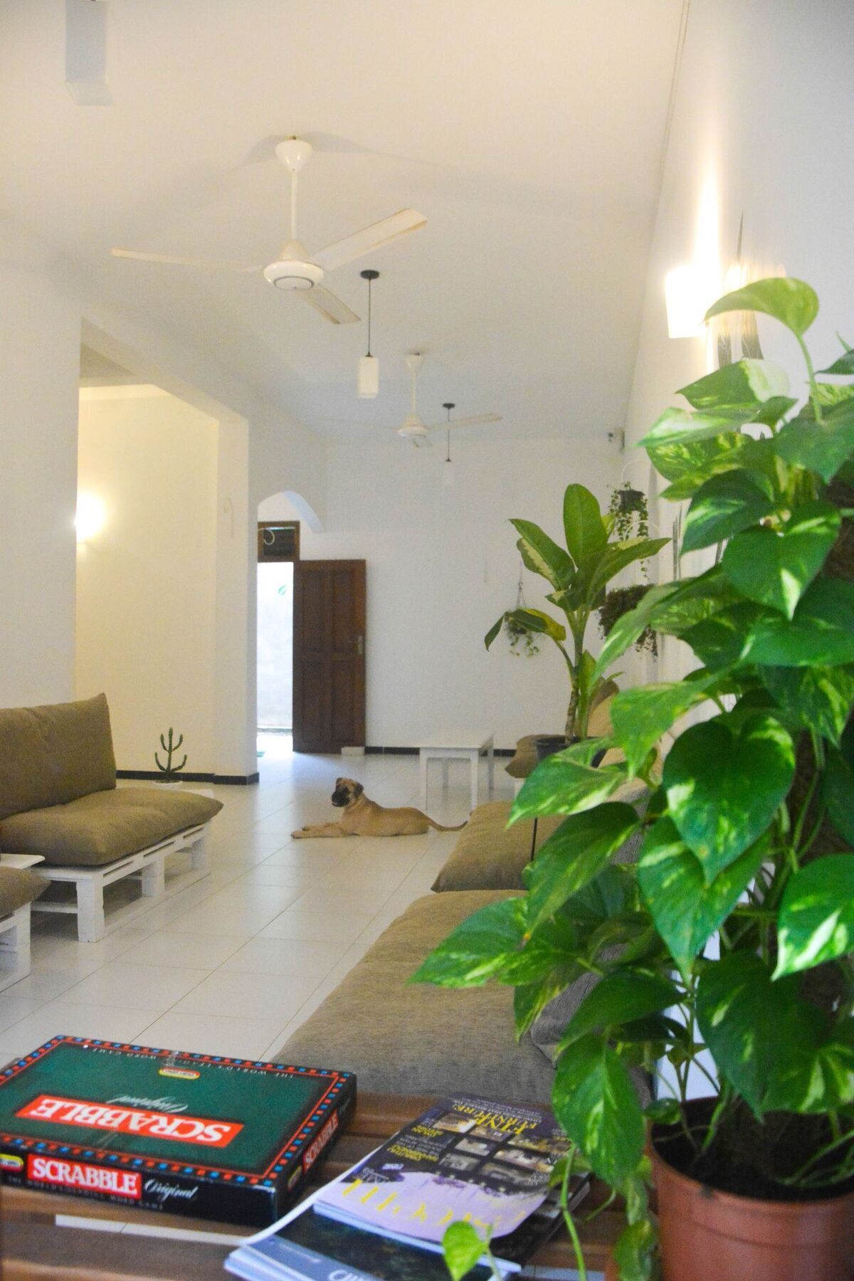 Bed & Bicycle Hostel Dehiwala-Mount Lavinia Exterior photo
